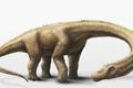 Dreadnoughtus schrani