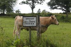 Po stopách Astrid Lindgrenové