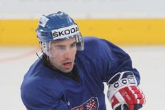 Trénink české hokejové reprezentace (Zbyněk Irgl)