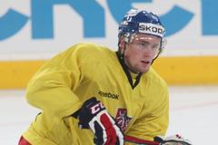 Trénink české hokejové reprezentace (Jiří Sekáč)