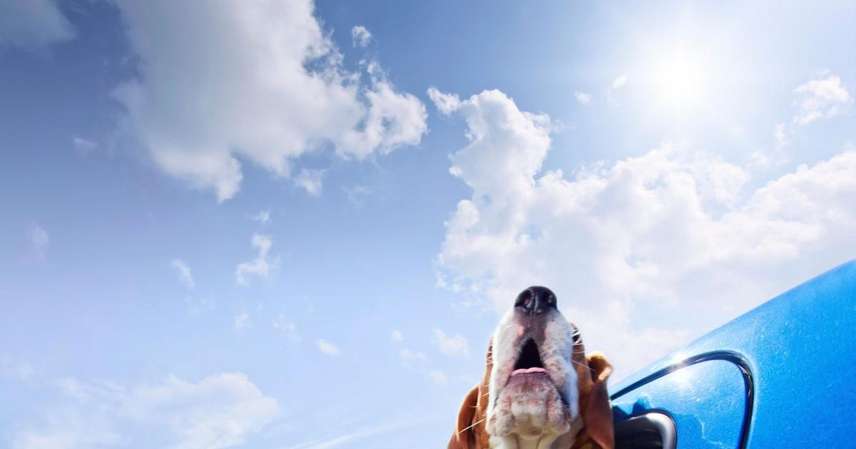 Nejprve slunce, pak znovu ochlazení. V Česku bude pokračovat aprílové počasí