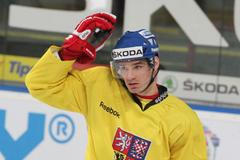 Trénink české hokejové reprezentace (Jan Kolář)