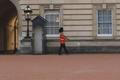 Stráže před Buckinghamským palácem