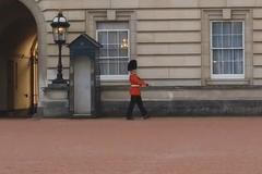 Stráže před Buckinghamským palácem