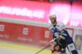 Hokejová extraliga: Plzeň - Litvínov