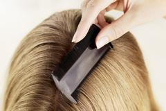 Vši, ilustrační foto