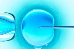 IVF, asistovaná reprodukce, vajíčko, spermie