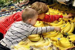 Ovoce, ilustrační foto