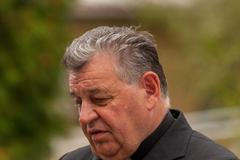 Letecká show CIAF 2013