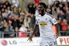 Wilfried Bony slaví gól za Swansea
