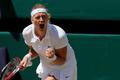 Wimbledon 2014, semifinále: Petra Kvitová