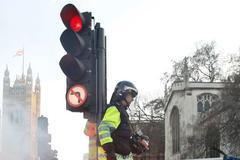 Britští studenti se v centru Londýna perou s policií