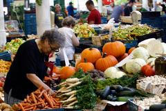 Zelenina, ilustrační foto