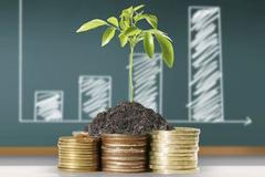 ING hlavni investice