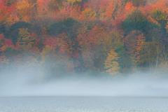 Mlha, ilustrační foto