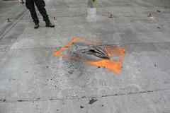 Vrbětice: Dělostřelecké granáty laik neodpálí, míní Šedivý