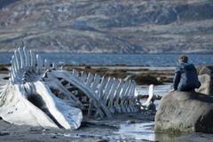 Leviathan trailer MFF KV 2014