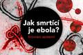 Jak smrtící je ebola - srovnání epidemií