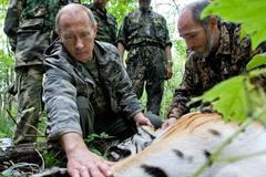 Vladimir Putin, tygr