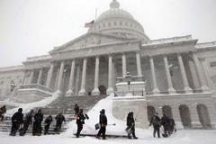 Sníh je všude: Na pláži, na růžích, zasypal i Einsteina