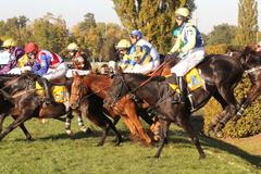 123. Velká pardubická