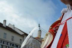 Svatomartinské víno - Mikulov