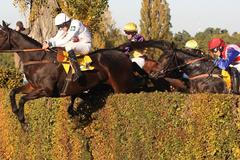 123. Velká pardubická