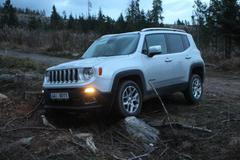 Jeep Renegade - kámen