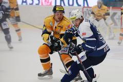 Hokejová extraliga: Plzeň - Litvínov