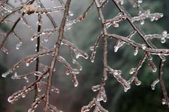 Námraza, ilustrační foto