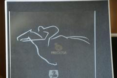 Nová trofej pro vítěze Velké Pardubické