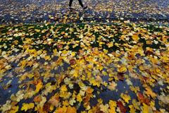 Podzim, listí, ilustrační foto