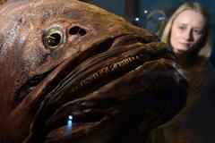 Natural History Museum