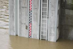 Fotogalerie: Povodeň v Holešovicích a v Libni