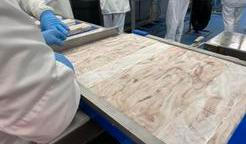 Proces výroby filé Nowaco