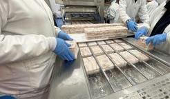 Proces výroby filé Nowaco