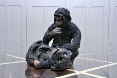 Rafani Síla Nevan Contempo