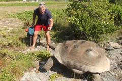 Želva nahání moderátora