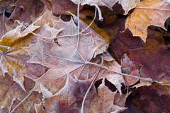 Jinovatka, zima, mráz, ilustrační foto