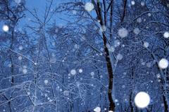 Foto: Zima je tu. Nechte se očarovat jejími krásami. /// Ilustrační snímek ///