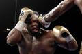 Deontay Wilder vs. Bermane Stiverne