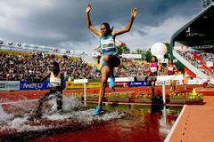 Nejlepší fotky 2014