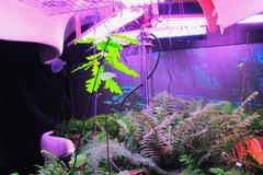 Laboratoř ticha - FEL ČVUT - Expo Milán 2015