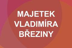 Ikona - majetek Vladimíra Březiny