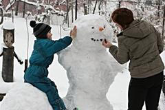 Sněhulák - zima - sníh