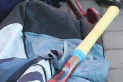 Češky hrají utkání Světové hokejové ligy 2012 s Itálií v pražském Edenu.