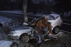 Auto narazilo při nehodě do stromu