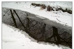 Zima - sníh - led - mráz - jinovatka