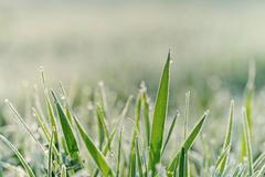 Jinovatka, zima, mráz, ilustrační foto