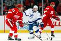 NHL: Tampa Bay Lightning vs. Detroit Red Wings (Gudas a Franzén)